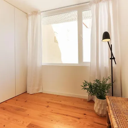 Lapa Elegant By Homing